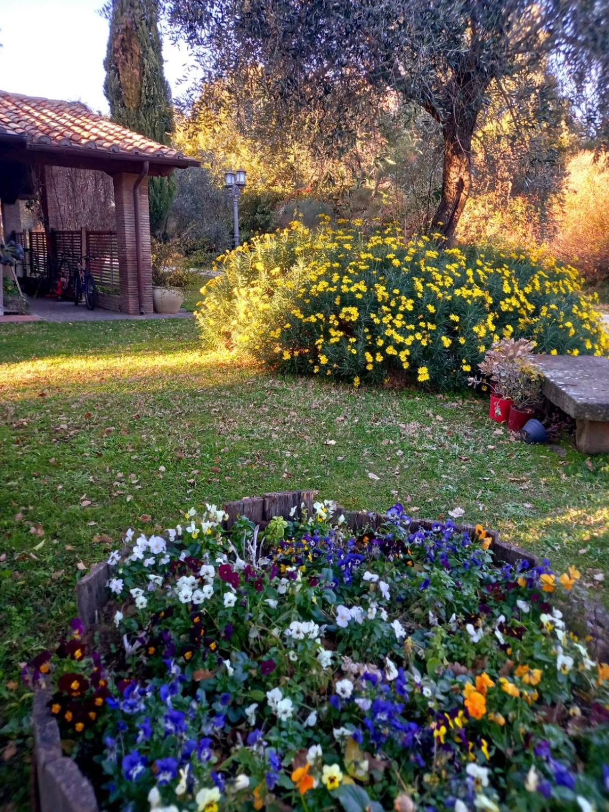 La Chiesuola Bed and Breakfast Bagnaia  Exteriör bild