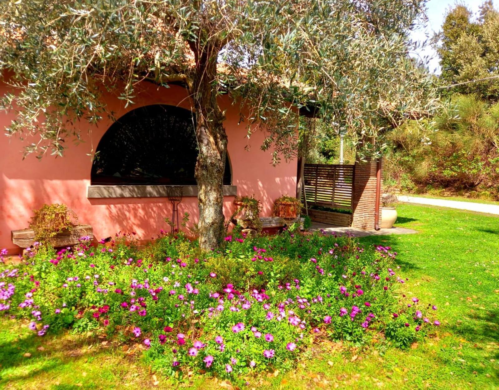 La Chiesuola Bed and Breakfast Bagnaia  Exteriör bild