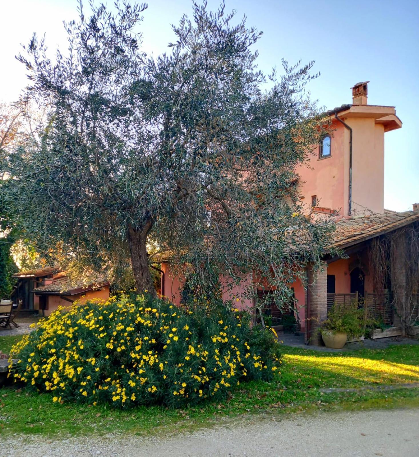 La Chiesuola Bed and Breakfast Bagnaia  Exteriör bild