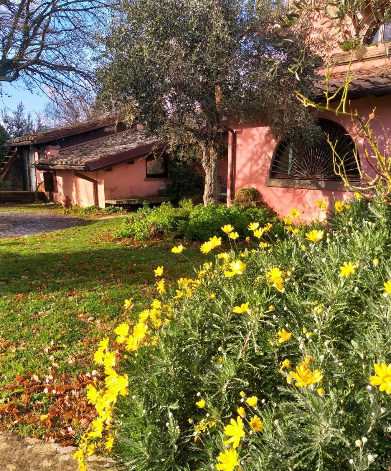 La Chiesuola Bed and Breakfast Bagnaia  Exteriör bild